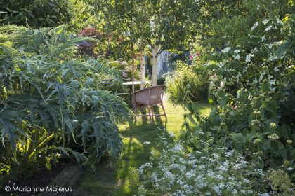 Garden by Posy Gentles