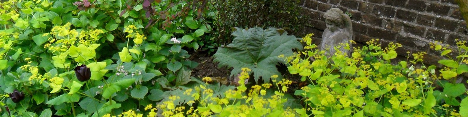 Posy Gentles Gardener